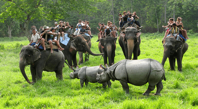 Chitwan National park jungle safari